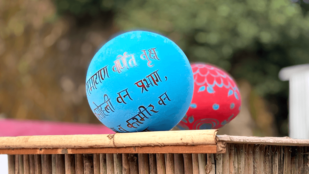 Basohli Utsav 2025